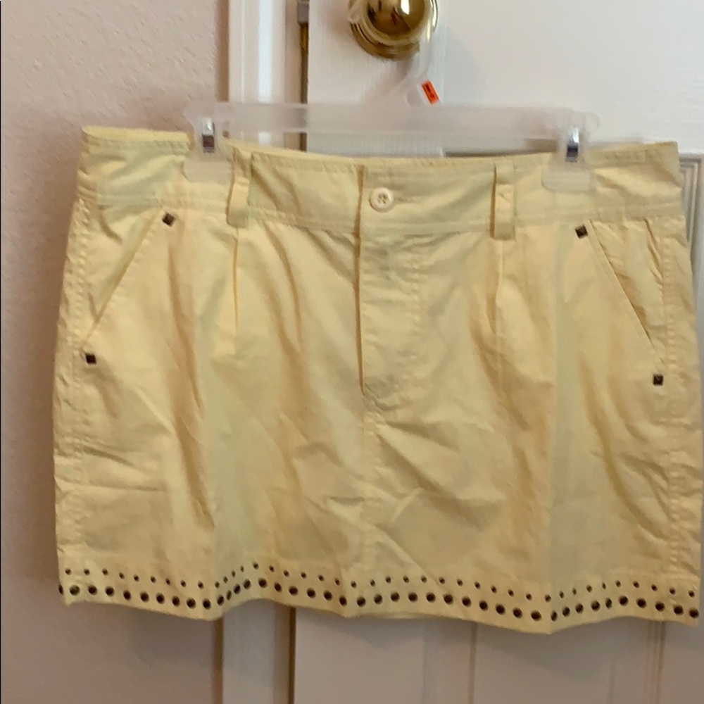 Stylebook Mini Skirt